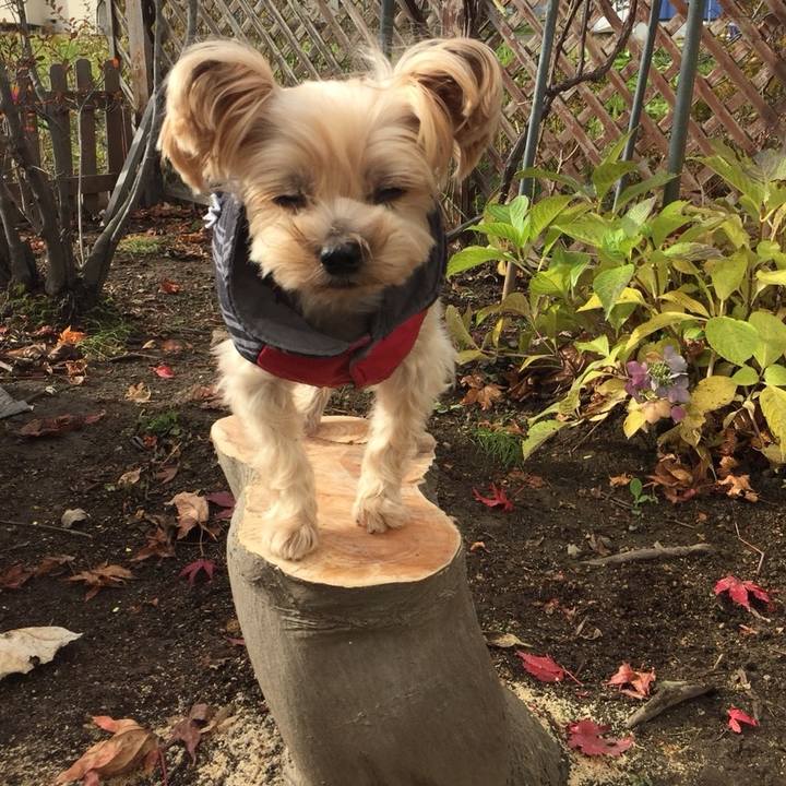 C7d1fe30 351a 4d10 8db5 5c27c085b7b5 1542262754704