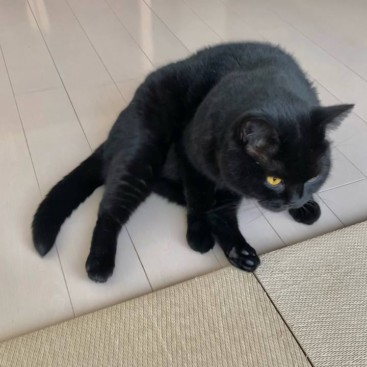 C7d21f17 bda7 46a5 9fce e2be5ed1fd41 1630481916341