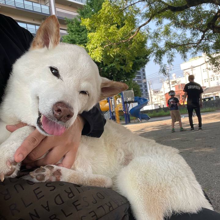 C7d23692 9ec2 4687 9fb8 5cb9c7b5db39 1653284970812