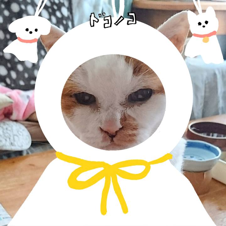C7d23fe2 a99a 47b5 bb2e 11ffe2d8dc3e 1781785177744