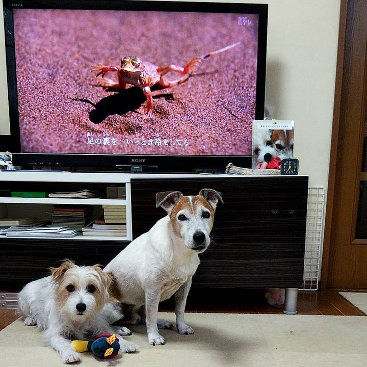 C7d242c2 e04d 40c7 8227 21edabcec16a 1565130247202