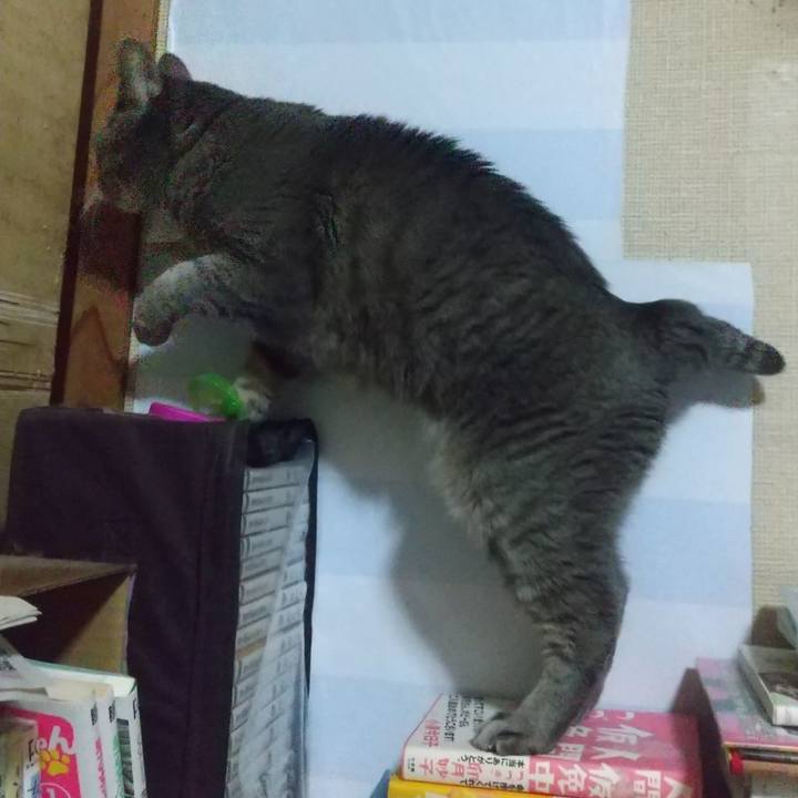 C7d25581 4fdf 464c 8872 d290adc77df8 1683509213157