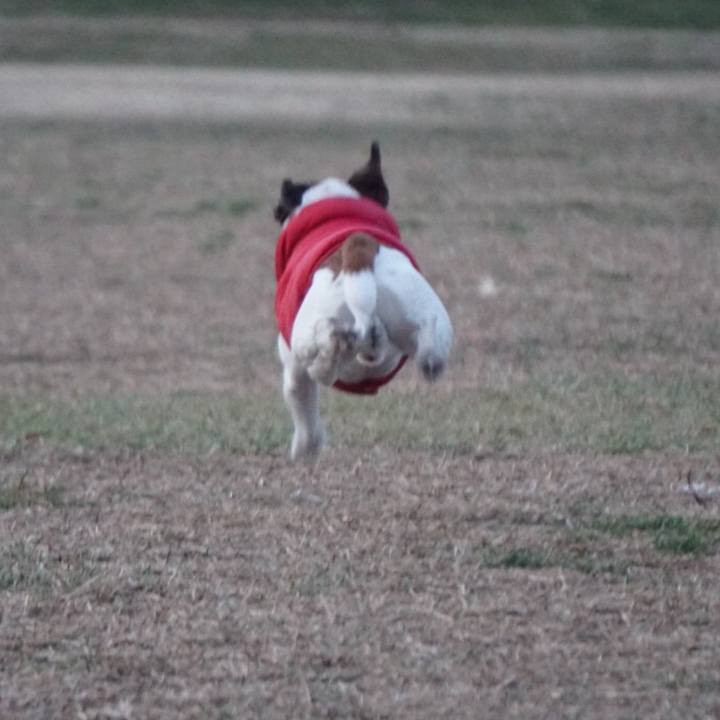 C7d273b0 eb80 4fc0 9e21 0f7ed6061560 1548891108275