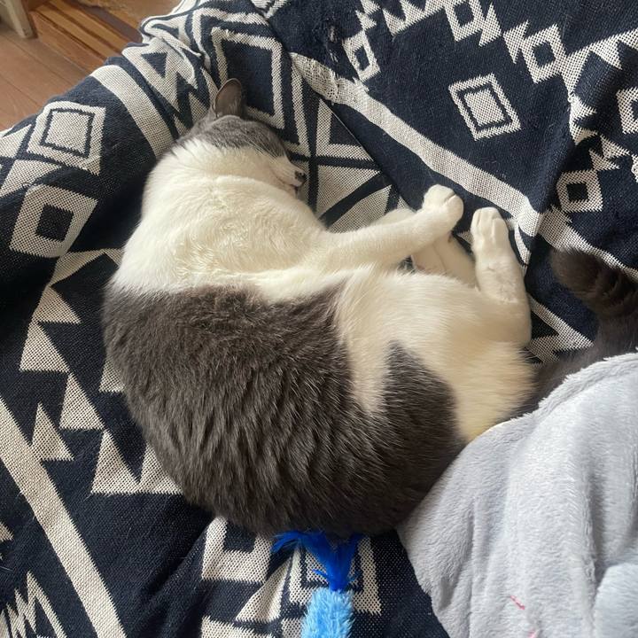 C7d28b4a dd88 4187 b5e4 82ecff727356 1722841995817