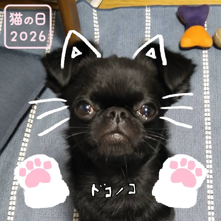 C7d298ea 3af0 48ea ada6 3d8821a35d24 1771712690079