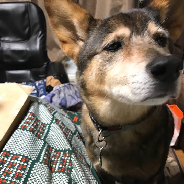 C7d2aa80 50b6 4772 aff2 7db1f252f81b 1510145623304