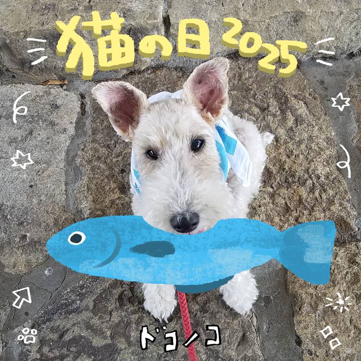 C7d2b390 3b43 40ed b493 d9a9f81f68a1 1740200515477