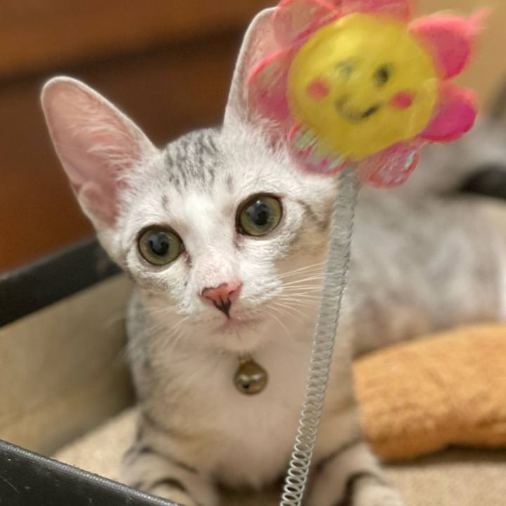 C7d2fa8b 80d6 4b1e 86fe 671f6e423ef8 1723516657060