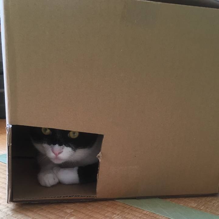 C7d30ad0 2ffb 4b6e ac51 96ce848a7601 1545478632205