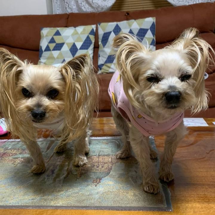 C7d3394b 57db 4e39 b34e 60733b8d7281 1616580308007