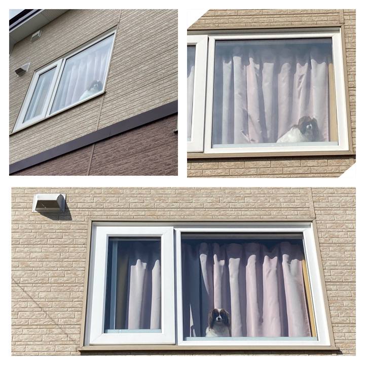 C7d35015 96cf 4acf b8ab 517594eb98cb 1688089585012