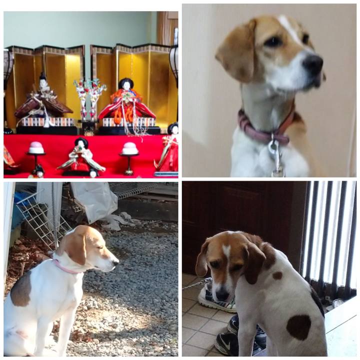 C7d359d7 9bda 4c70 9959 6ea22bda2110 1581308370550