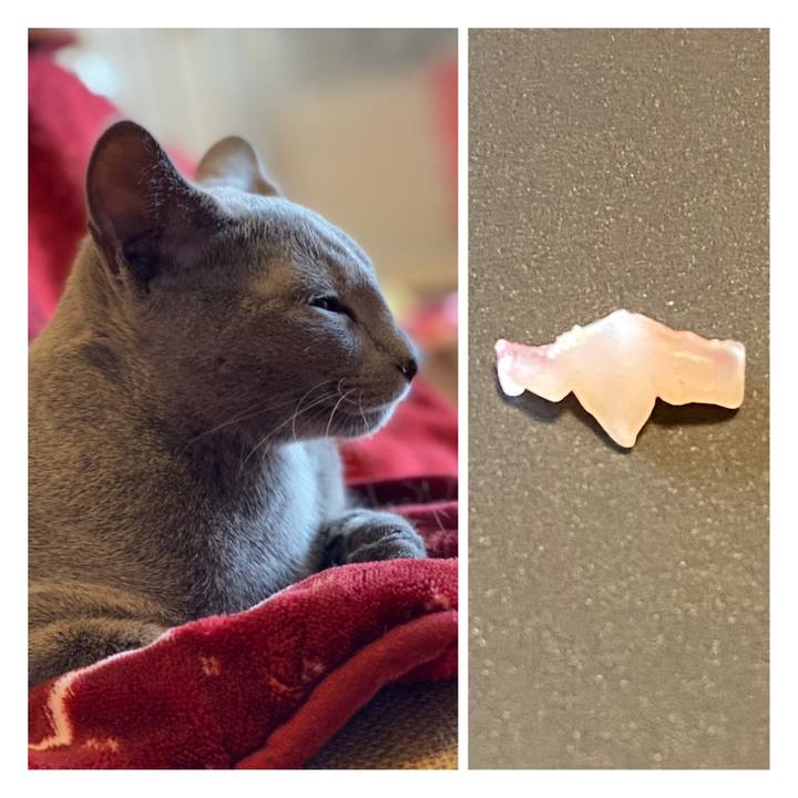 C7d37fed 19fb 42bf 87e9 9afb3c93b760 1611189958095