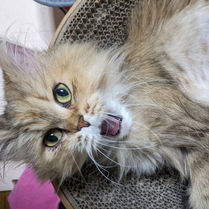 C7d39118 bd7d 43ad 83d2 d361ca47de70 1716728190165