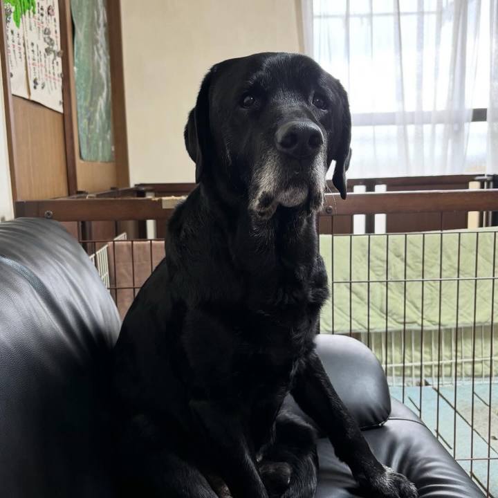 C7d398c7 5c06 4568 81da 5e09207d3e54 1767433646869