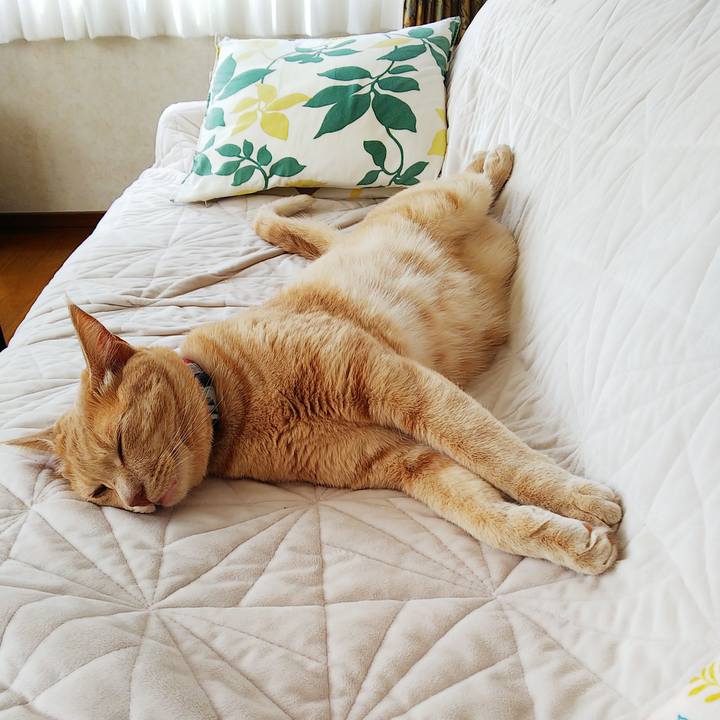 C7d3b657 7350 4989 a779 2e39a229ee2c 1599097708405