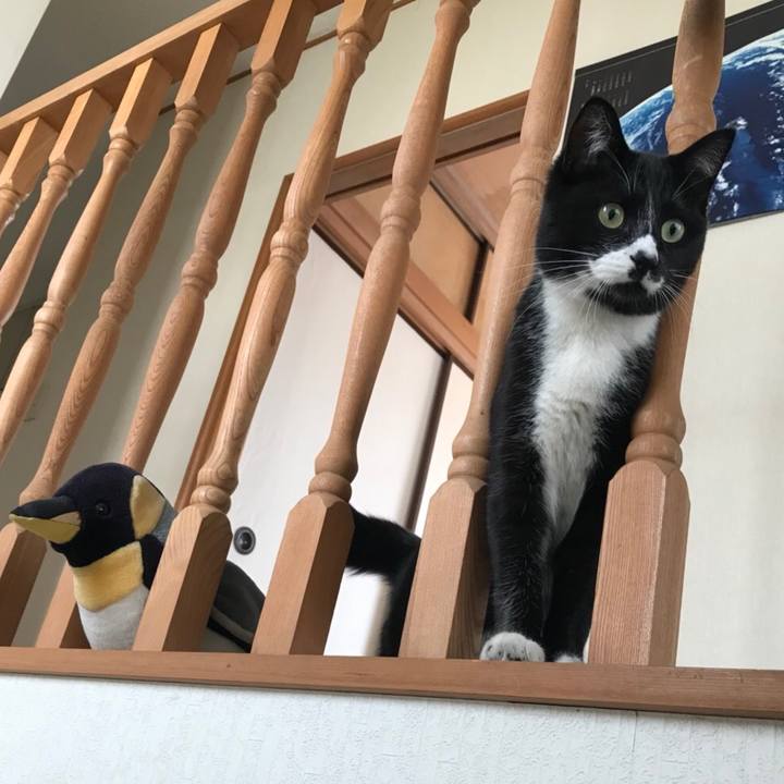 C7d3c7f3 540e 4ff2 acf3 e275573b8745 1521431294125