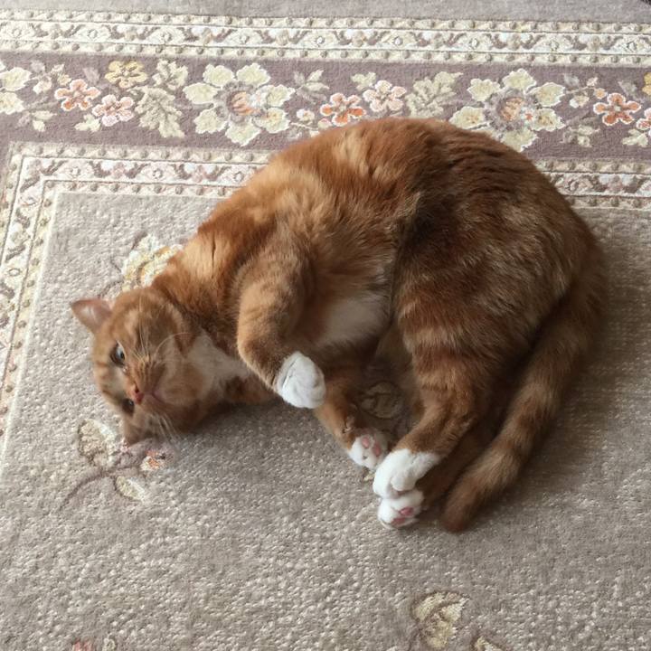 C7d450b7 f316 4612 8765 03f3debad261 1553731575658