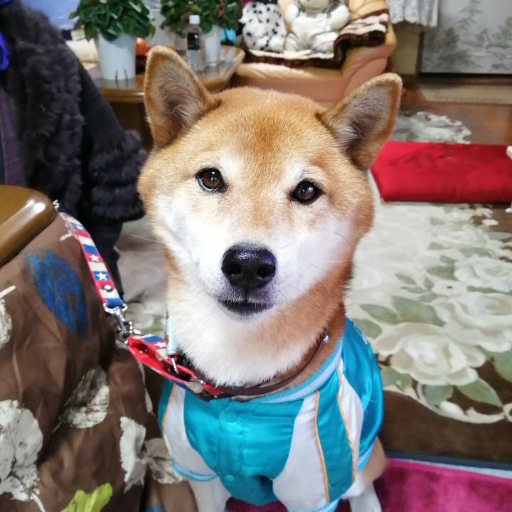 C7d45c46 681a 41d7 92b0 b6cbdd554f87 1672738378779