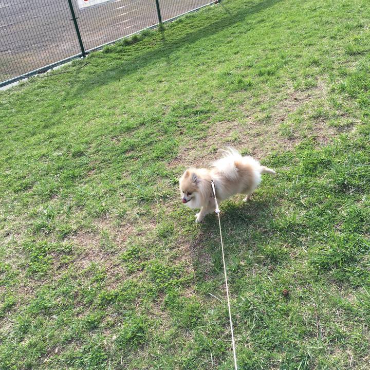 C7d463f5 0044 4e98 ab22 1b700ac9e75d 1524472019202