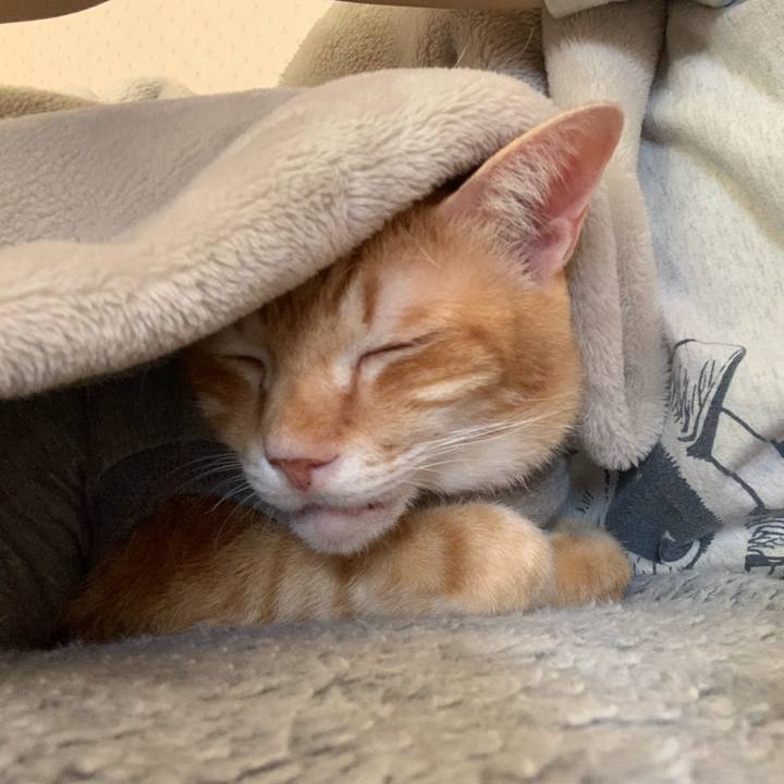 C7d4ee56 6a14 4a95 a7d7 64e6d66d9a98 1637469126221