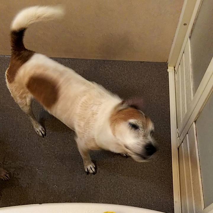 C7d503ac 1df7 4755 89e3 36d8db6219e4 1547297164626