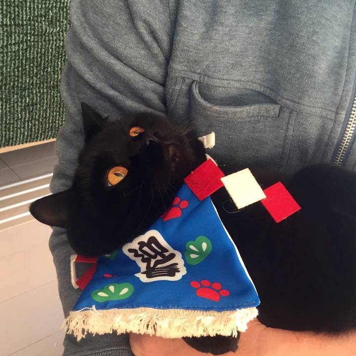 C7d532e2 6cbc 4095 af38 e30fac4cb6cf 1546297072601