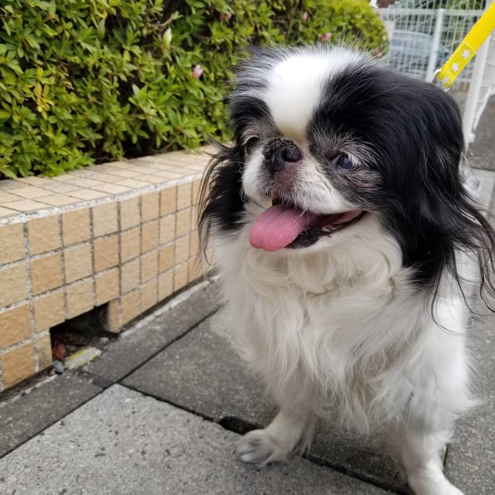 C7d557d1 3659 4fa6 8947 2abbdbe6c429 1555927537396