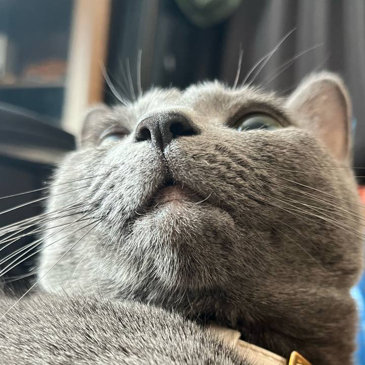 C7d55cff f752 4b52 9100 f747321b0fa6 1682125355944