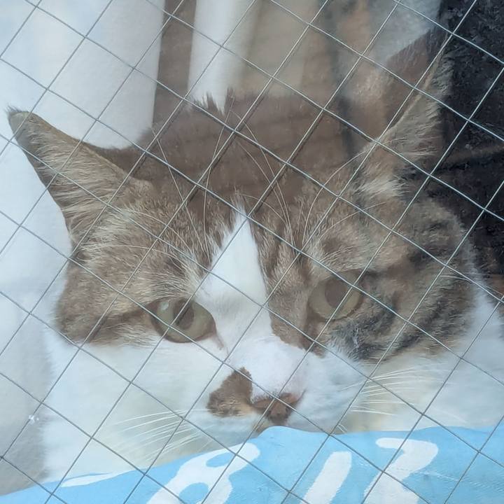 C7d56beb b707 40f3 b6a2 7509e66d9c0d 1768694521379