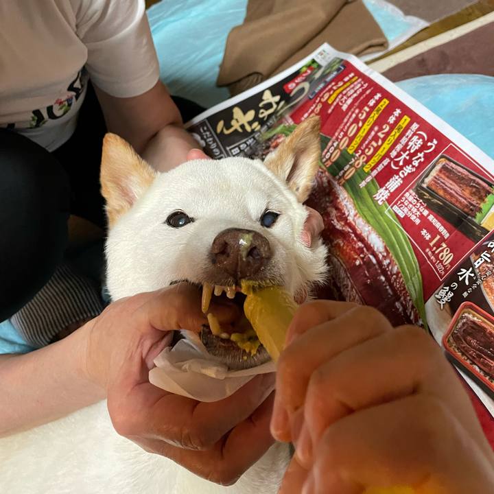 C7d56e87 70f9 4b76 92ff eb971e68f0ce 1658409272704