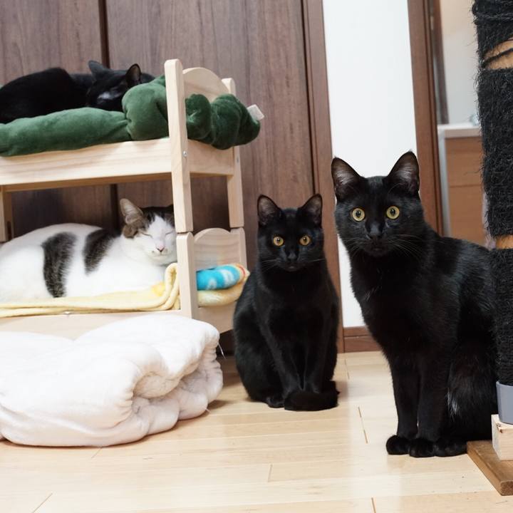 C7d57242 69f6 419d bf58 5e5c07346b7c 1518478100008