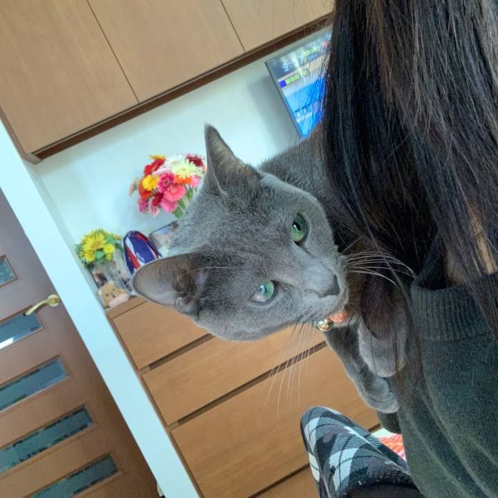 C7d5accc f87d 4dc0 8f69 391ea50ebe36 1613892046705