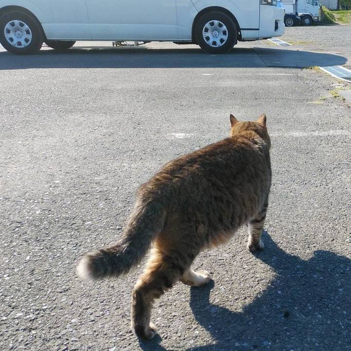 C7d5b4b6 e174 419b a387 0571baeecbcc 1617927681357