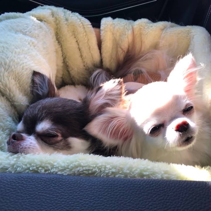 C7d5d0aa 7eea 46b5 9224 e788a0782660 1581427096155