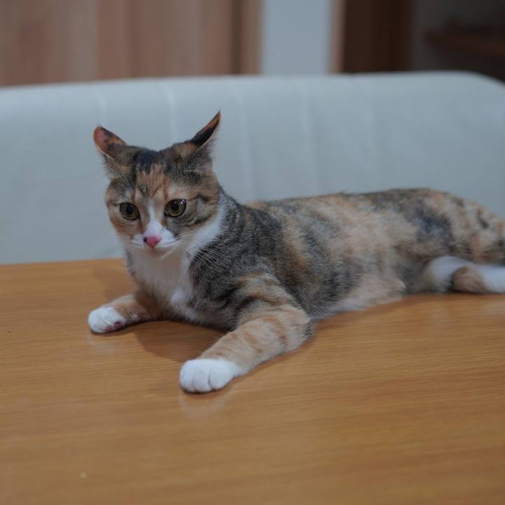 C7d5d4a6 cf16 40de 892d a81602c9c9ae 1582242844899