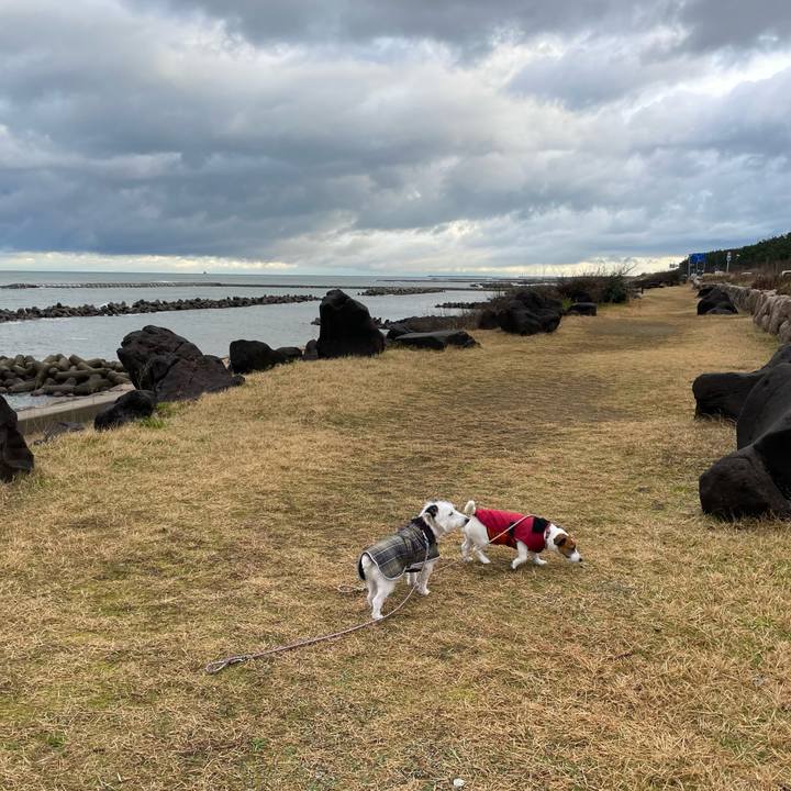 C7d5e504 be19 4159 adac 3658eea050a7 1670372732870