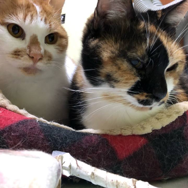 C7d5ec97 2644 4ac1 9a61 3971d1966544 1608155160777