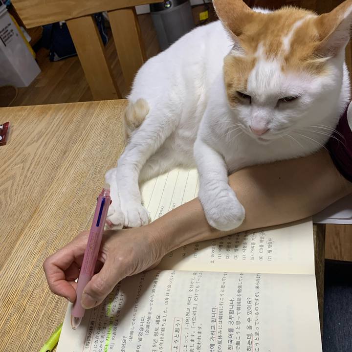 C7d60724 477c 4129 9d13 4cce3f5c3324 1618405933383