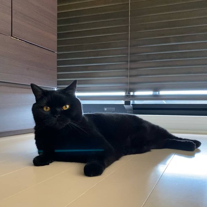 C7d6306a d3b3 4436 8513 158d00a6a456 1630967418365