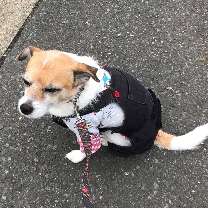 C7d64cfc d939 453b 837f 7835caf7051c 1575874822644