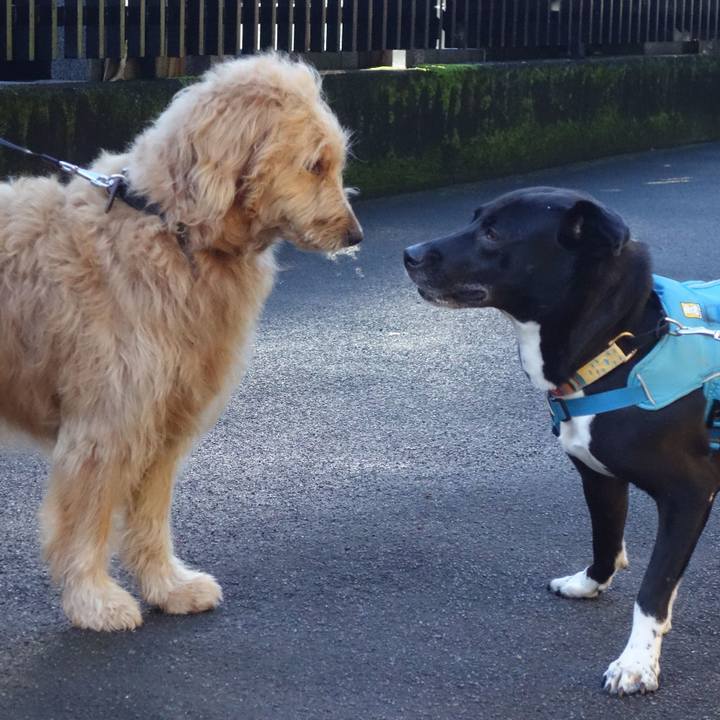 C7d65381 7514 4aea a57c a6d960e37e98 1633134312900