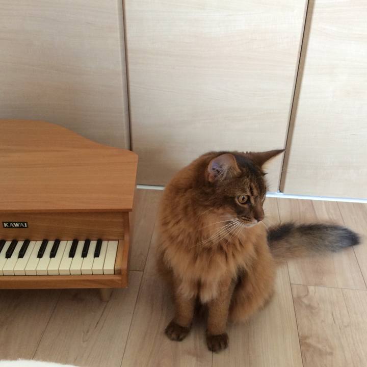 C7d6574a e3bf 49a4 a7df 46ebd01c71ad 1598838497479