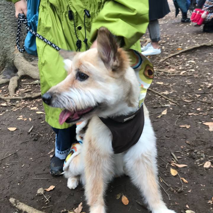 C7d67084 d12d 4117 8f62 62581df6be1c 1509173970312