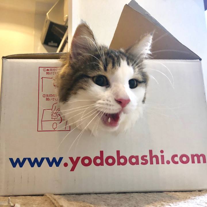 C7d672ac 6e5d 4840 acfc 808ca00ffbf5 1532255793208