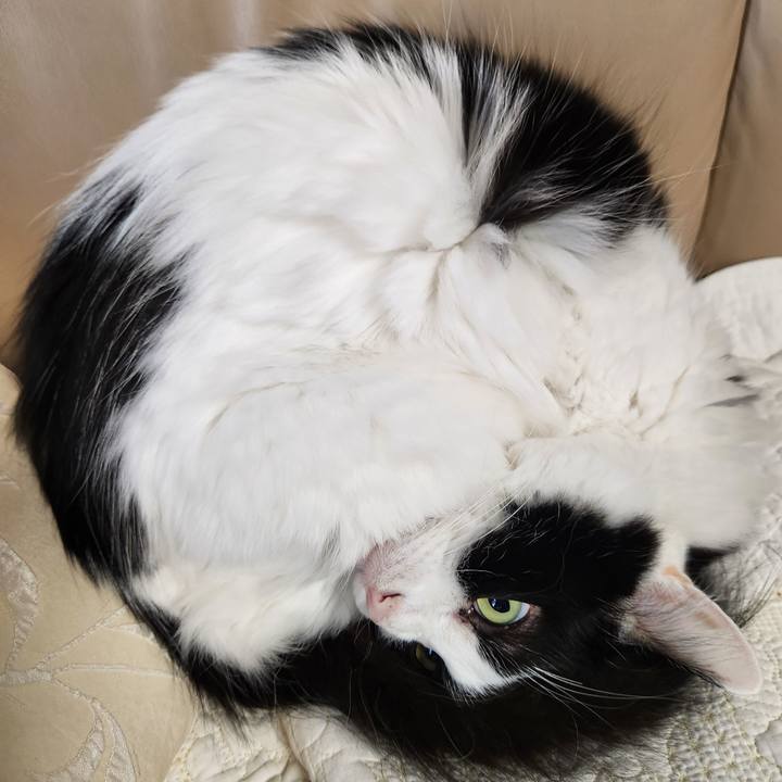 C7d68f20 6b25 49a8 b589 2d4db08e947b 1705968769026