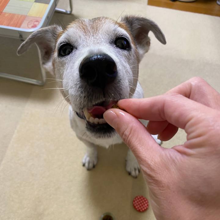 C7d6a561 3df2 4097 84b9 d2b81a5ff167 1598164944691