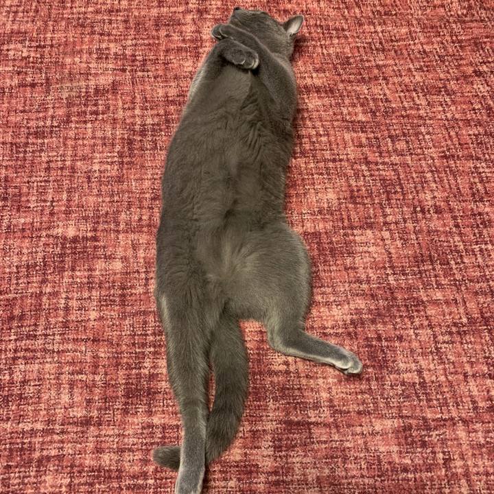 C7d6b3de 7cd8 4379 9eb3 f5d211040a9b 1580334898771