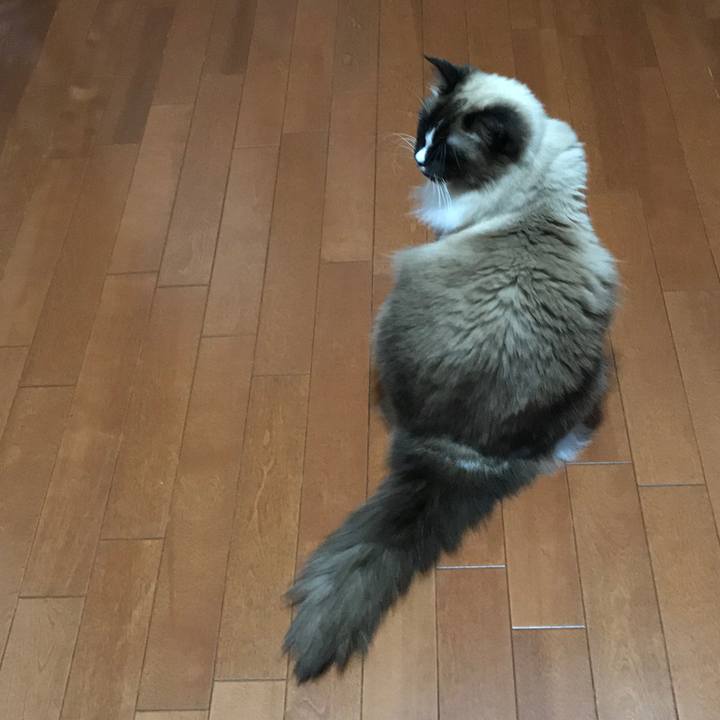 C7d6ccb7 f26a 4485 9264 68544c2f9f75 1519903657203