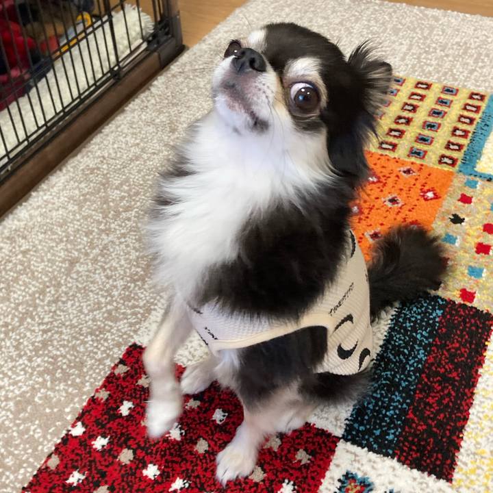 C7d70f63 bd74 4541 bc35 2a6be6676716 1699025804081